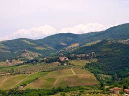 Toscana2011-6